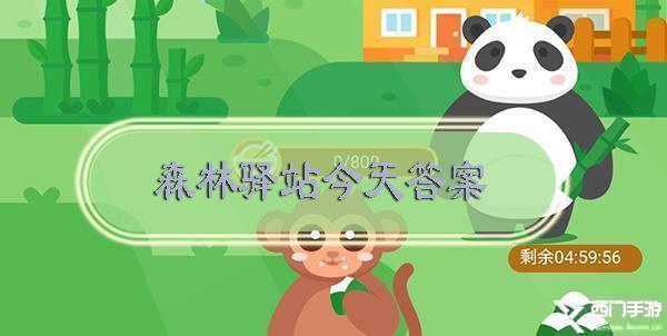 以下对大熊猫的描述哪个是正确的-微博森林驿站今日答案