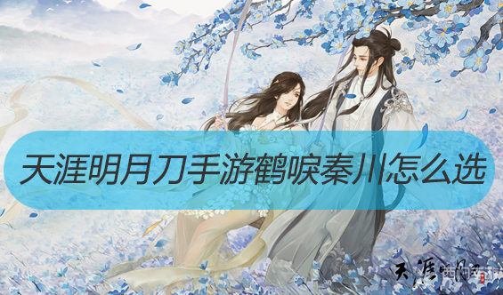 天涯明月刀手游鹤唳秦川怎么选-天涯明月刀手游鹤唳秦川奇遇敲门攻略