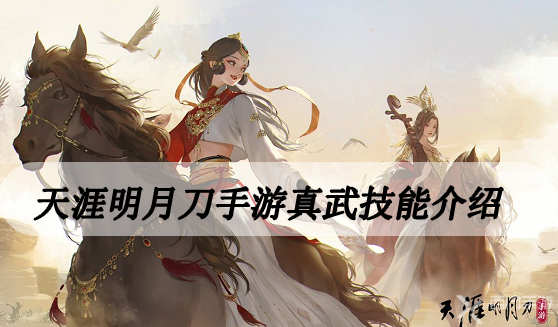 天涯明月刀手游真武技能介绍-天涯明月刀手游真武技能详解