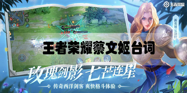王者荣耀蔡文姬台词是什么意思-王者荣耀蔡文姬台词含义解析