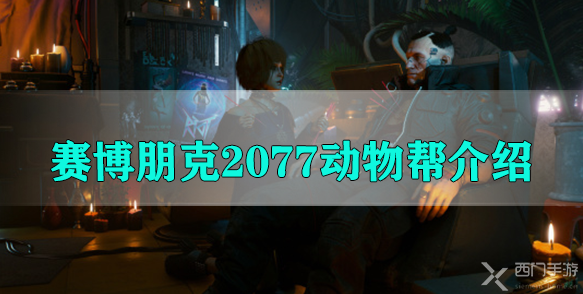 赛博朋克2077动物帮介绍-赛博朋克2077动物帮信息概览