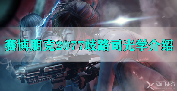 赛博朋克2077歧路司光学介绍-赛博朋克2077歧路司光学企业背景业务介绍