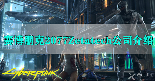 赛博朋克2077Zetatech公司介绍-赛博朋克2077Zetatech公司背景业务介绍