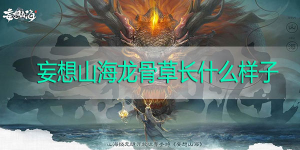 妄想山海龙骨草长什么样子-妄想山海龙骨草获取方法