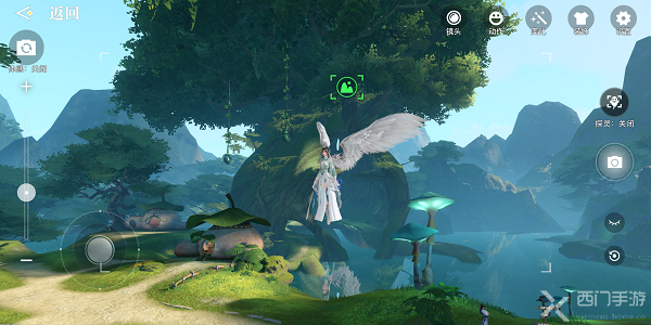 天谕手游星茸之森景点拍照位置汇总-伞村星茸之森景点拍照位置大全