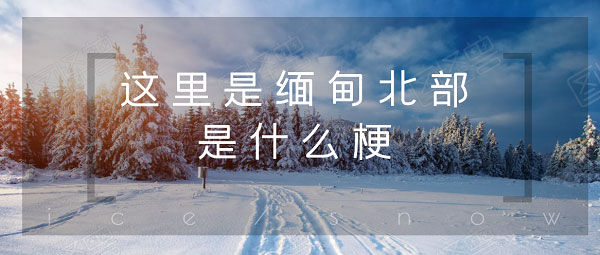 这里是缅甸北部是什么梗-这里是缅甸北部我生长的地方梗含义出处介绍