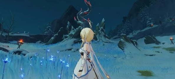 原神风花节留影任务攻略-风花节标记点留影任务攻略