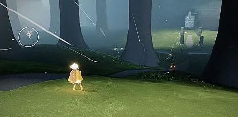 光遇雨林赏花任务怎么完成-雨林赏花任务攻略