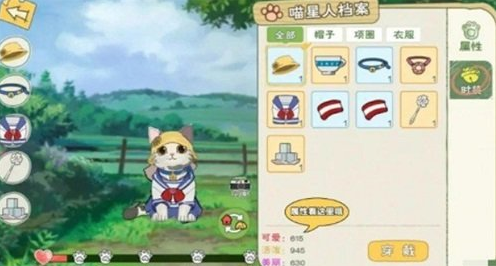 小森生活如何领养第二只猫-领养多只猫方法