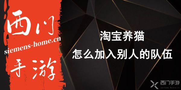 淘宝养猫怎么加入别人的队伍-2021淘宝618养猫加入队伍方式