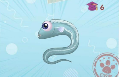 摩尔庄园手游带鱼怎么获得-带鱼在哪钓