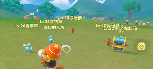 摩尔庄园手游雪绒草在哪-雪绒草位置捕捉方法