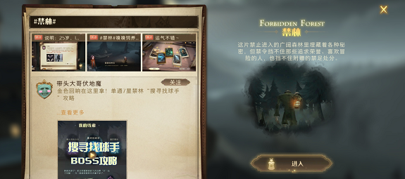 哈利波特魔法觉醒金色回响怎么获得-金色回响获取方法