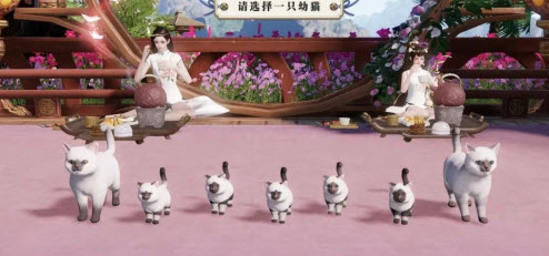 天涯明月刀手游猫猫怎么换性别-猫猫更换性别方法