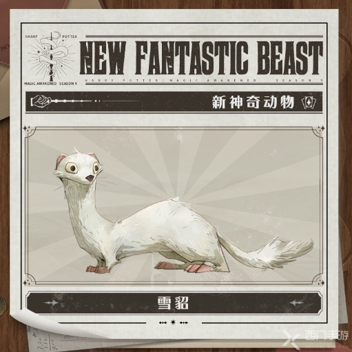 哈利波特魔法觉醒第6赛季什么时候更新