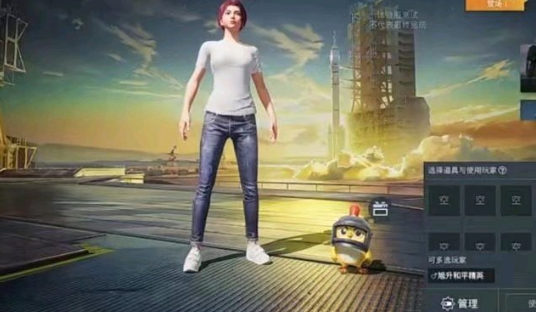 和平精英趣味道具怎么用