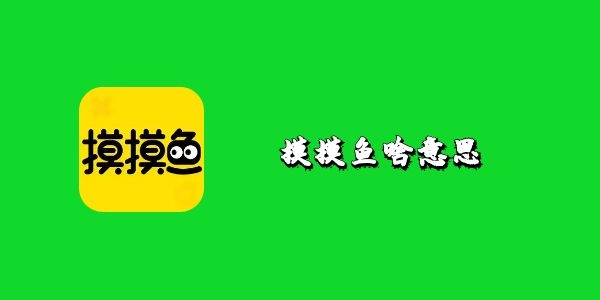 摸摸鱼啥意思-摸摸鱼详情解析