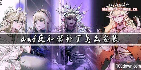 dnf反和谐补丁怎么安装