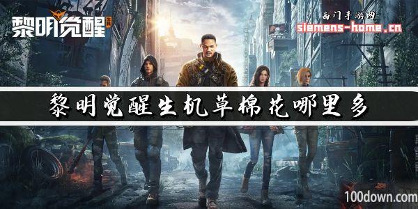 黎明觉醒生机草棉花哪里多