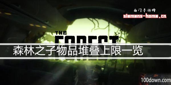 森林之子物品堆叠上限一览-背包物品堆叠数量上限