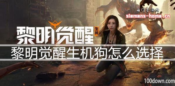 黎明觉醒生机狗怎么选择-宠物狗选择分析