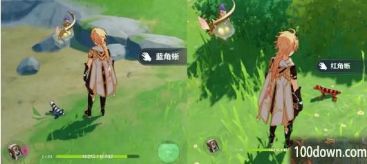 原神蜥蜴尾巴采集地点-蜥蜴尾巴收集路线大全