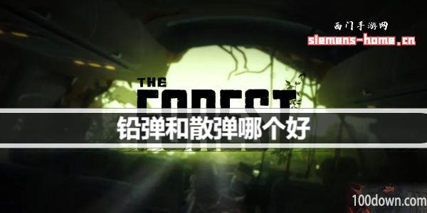 森林之子铅弹和散弹哪个好-铅弹和散弹区别