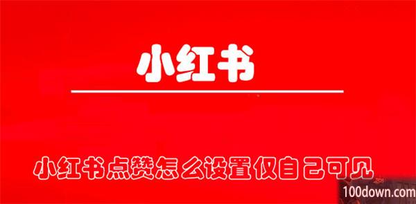 小红书点赞怎么设置仅自己可见-小红书点赞设置仅自己可见的教程