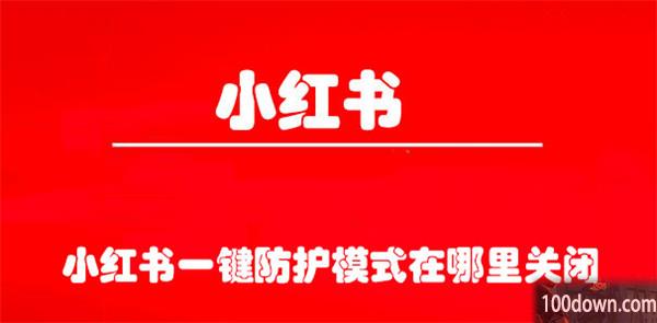 小红书一键防护模式在哪里关闭-小红书关闭一键防护模式的教程