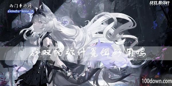 战双帕弥什冕饵好用吗-冕饵属性技能一览