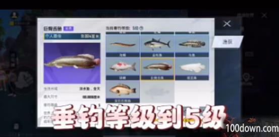 和平精英绿洲世界巨骨舌鱼在哪钓