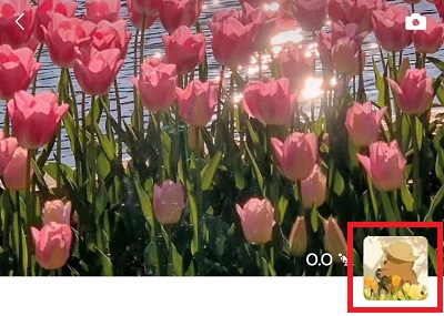 微信怎么置顶自己发的朋友圈-微信置顶朋友圈教程