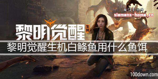 黎明觉醒生机白鲦鱼用什么鱼饵