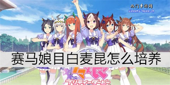 赛马娘目白麦昆怎么培养-赛马娘目白麦昆培养攻略