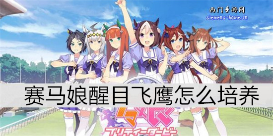 赛马娘醒目飞鹰怎么培养-赛马娘醒目飞鹰培养攻略
