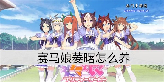 赛马娘菱曙怎么养-赛马娘菱曙强度