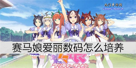 赛马娘爱丽数码怎么培养-赛马娘爱丽数码育成攻略