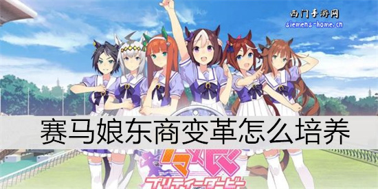 赛马娘东商变革怎么培养-赛马娘东商变革的培养攻略