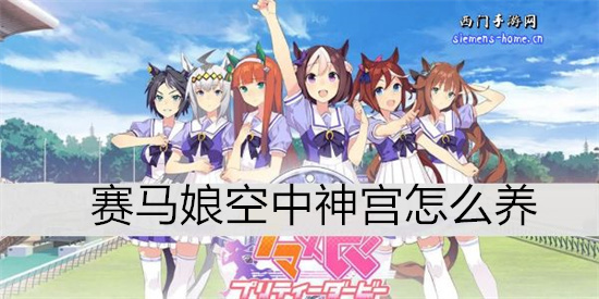 赛马娘空中神宫怎么养-赛马娘空中神宫育成攻略