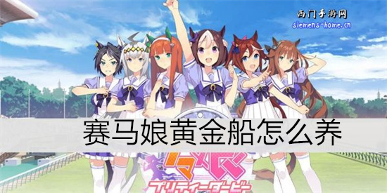 赛马娘黄金船怎么养-赛马娘黄金船育成攻略