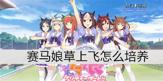 赛马娘草上飞怎么培养-赛马娘草上飞育成攻略