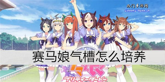赛马娘气槽怎么培养-赛马娘气槽育成攻略