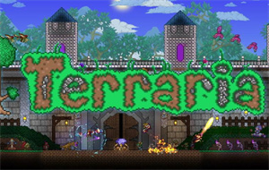 泰拉瑞亚无法加入好友服务器怎么办-泰拉瑞亚进不去好友的服务器怎么办