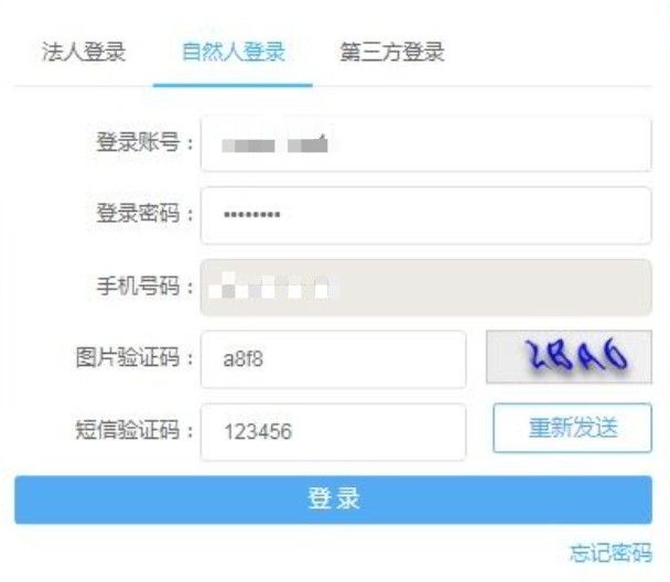 电子税务局怎么登录？电子税务局注册登录方法图片7