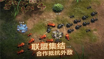 小小蚁国联盟礼物领取攻略