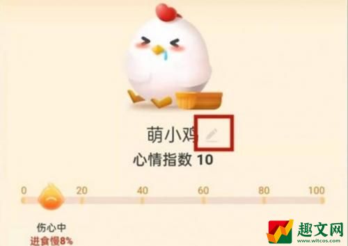 蚂蚁庄园小鸡怎么取名字 蚂蚁庄园小鸡取名字方法介绍