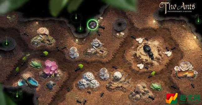 小小蚁国野怪如何升星-小小蚁国野怪升星方式一览