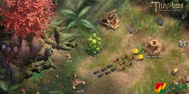 小小蚁国野怪如何升星-小小蚁国野怪升星方式一览